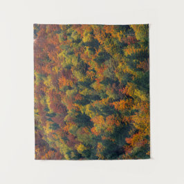 Tapete De Parede Floresta do outono impressionante