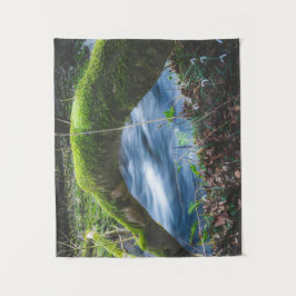 Tapete De Parede Floresta mágica encantada