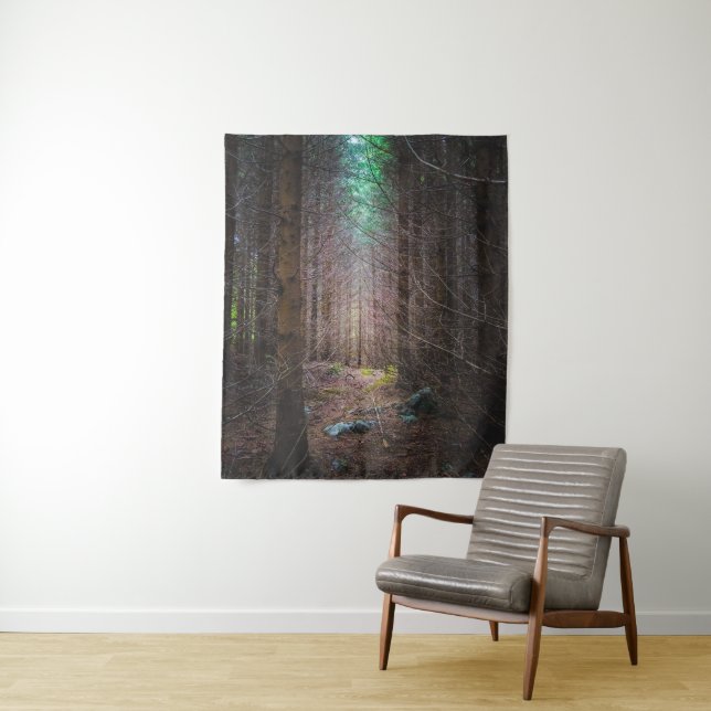 Tapete De Parede Floresta misteriosa de espruce (In Situ)