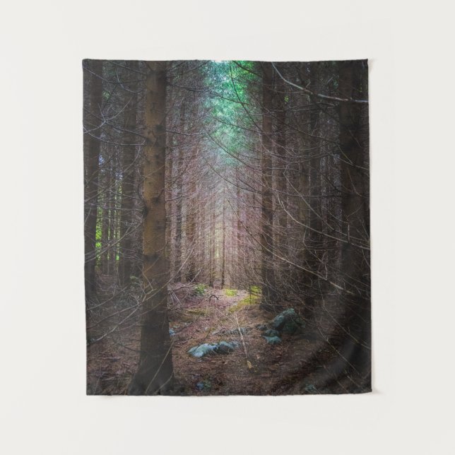 Tapete De Parede Floresta misteriosa de espruce (Frente)