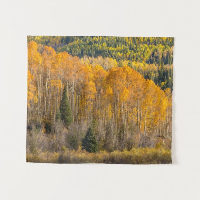 Tapete De Parede Floresta Nacional de Gunnison (Frente (Horizontal))