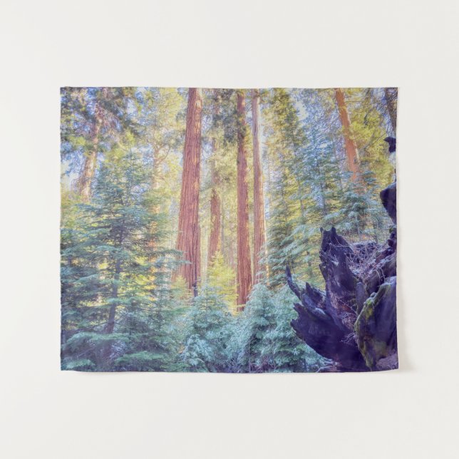 Tapete De Parede Floresta Sequoia (Frente (Horizontal))
