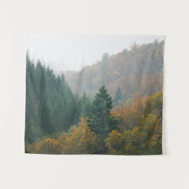 Tapete De Parede Florestas do outono de 2010 que desaparecem no nev (Frente (Horizontal))