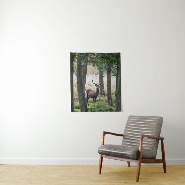 Tapete De Parede Florestas | Woodlands & Red Deer (In Situ)
