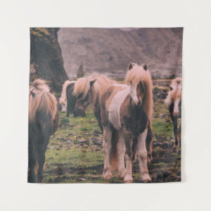 TAPETE DE PAREDE FOCUS FOTOGRAFIA DE CAVALOS