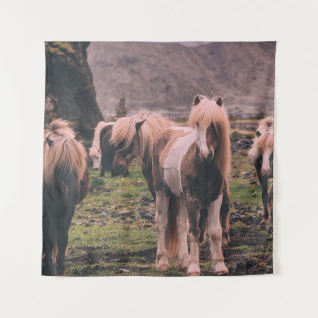 TAPETE DE PAREDE FOCUS FOTOGRAFIA DE CAVALOS (Frente)