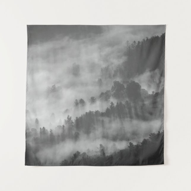 TAPETE DE PAREDE FOG DEVOURING A FOREST (Frente)