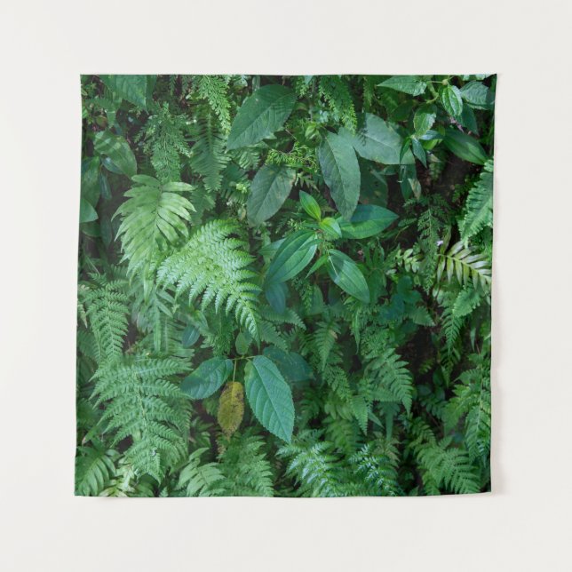 Tapete De Parede Folhagem de Grama Verde-Fern (Frente)