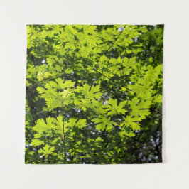 Tapete De Parede Folhas Daptadas pelo Sol na Floresta