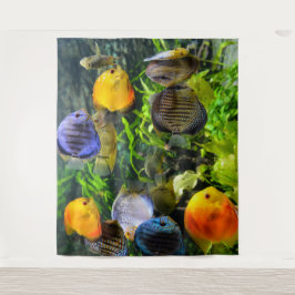 TAPETE DE PAREDE FOTO BONITA DE PEIXE