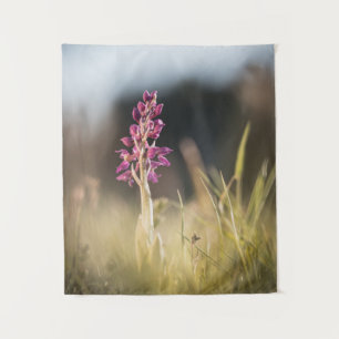 Tapete De Parede Foto da Natureza da Orquídea Selvagem