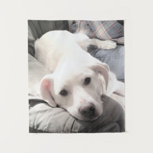 Tapete De Parede Foto de Cachorro Cansado Cachorro Cansado com Pai
