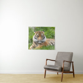 Tapete De Parede Foto do Grande Gato Sumatran Tiger