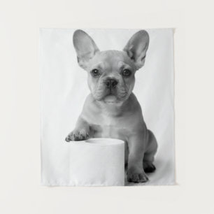 Tapete De Parede Foto Engraçada de Cachorro Bulldog Francês com Pap