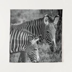 TAPETE DE PAREDE FOTO GRAYSCALE DE ZEBRAS