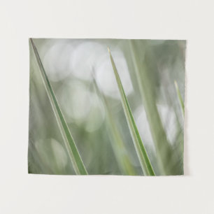 Tapete De Parede Foto verde-pontiaguda da planta