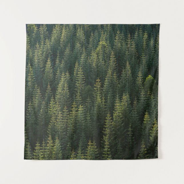 TAPETE DE PAREDE FOTOGRAFIA AERIAL DA FLORESTA (Frente)