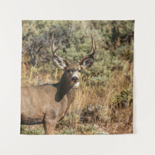 TAPETE DE PAREDE FOTOGRAFIA DA VIDA SELVAGEM DE BUCK