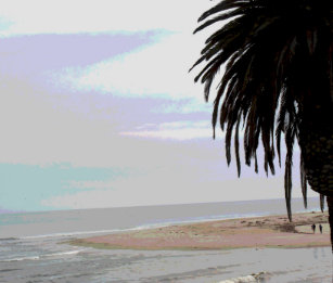 Get Wallpaper Tapetes De Parede Da Praia Da Praia De Zazzle Com Br For iPhone Free