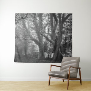 Tapete De Parede Fotografia em Preto e Branco da Floresta Assustado