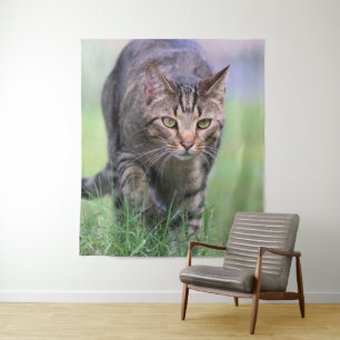 Tapete De Parede Gabe