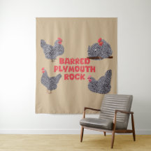 Galinhas Barred Plymouth Rock