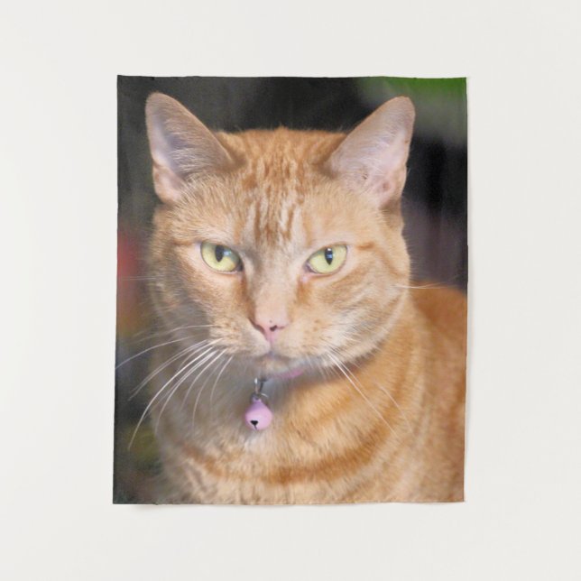 Tapete De Parede Gato (Frente)