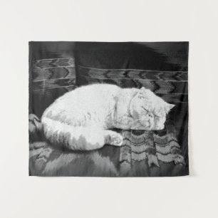 Tapete De Parede Gato Branca de Dormir Persa