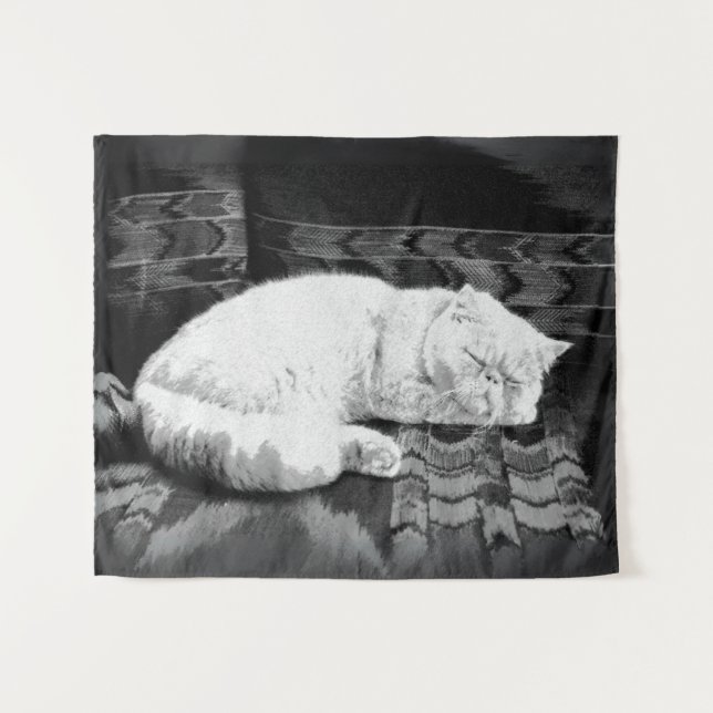 Tapete De Parede Gato Branca de Dormir Persa (Frente (Horizontal))