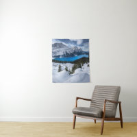 Gelo e neve | Peyto Lake, Rockies canadianos