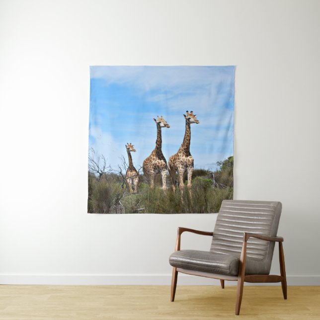 Tapete De Parede Girafas sob Horizonte Suave (In Situ)