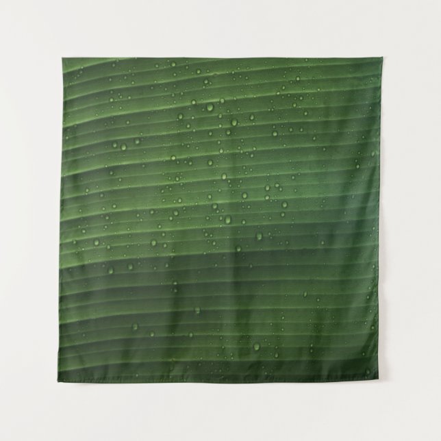 Tapete De Parede Gotas de água em folha verde (Frente)
