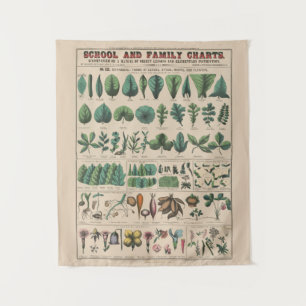 Tapete De Parede Gráfico Antigo da Escola Botânica Natureza Vintage