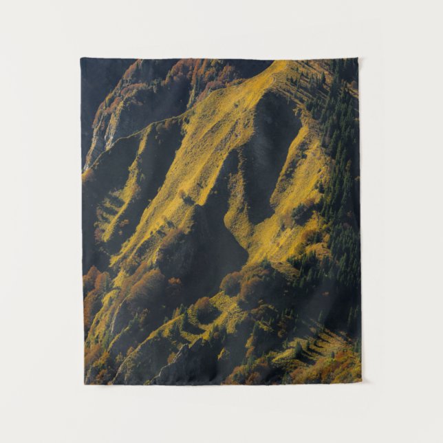 Tapete De Parede Grama coberto montanha no outono (Frente)