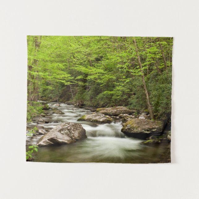 Tapete De Parede Hetero Forrapk flui através da floresta (Frente (Horizontal))