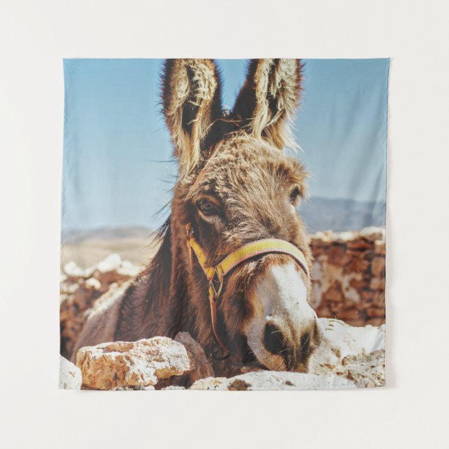 TAPETE DE PAREDE HI DONKEY (Frente)