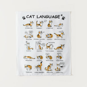 Tapete De Parede Idioma de Gato, Gatinho Gato Engraçado, Ideia de 