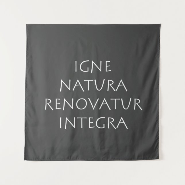 Tapete De Parede Igne natura renovatur integra (Frente)