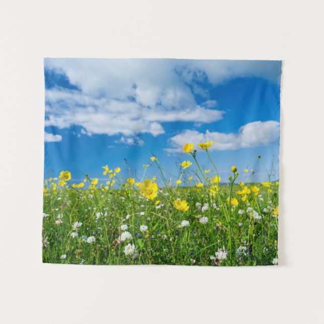 Tapete De Parede ilha do Uist do Sul | Escócia (Frente (Horizontal))