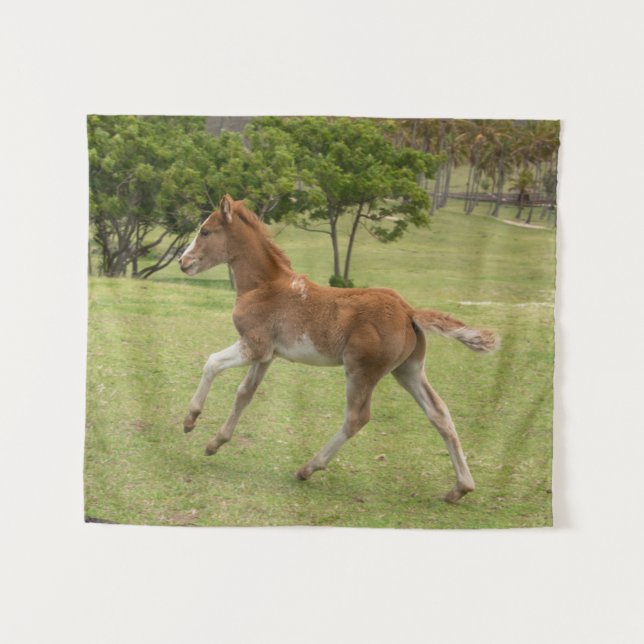 Tapete De Parede Ilha páscoa Rapa Nui (Frente (Horizontal))