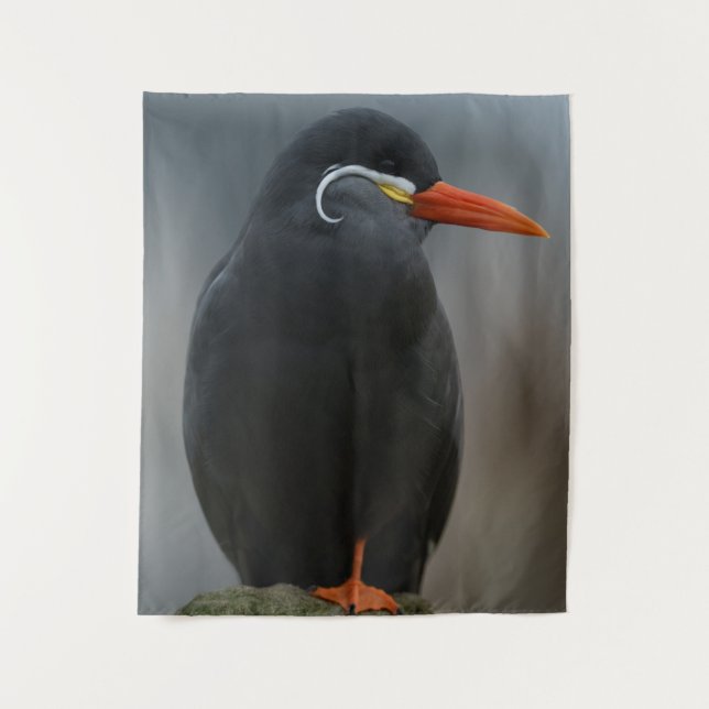 Tapete De Parede Inca Tern (Frente)