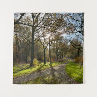 Tapete De Parede Into the woods...