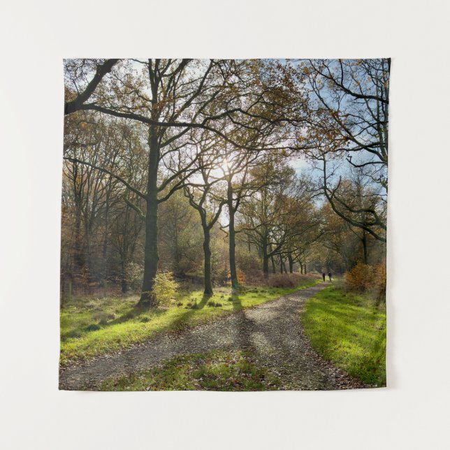 Tapete De Parede Into the woods... (Frente)