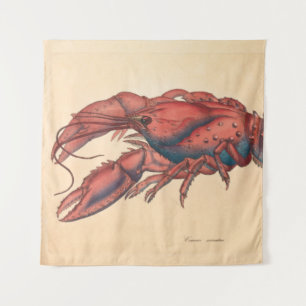 Tapete De Parede James Sowerby Sernotated Lobster