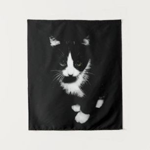 Tapete De Parede Kitten