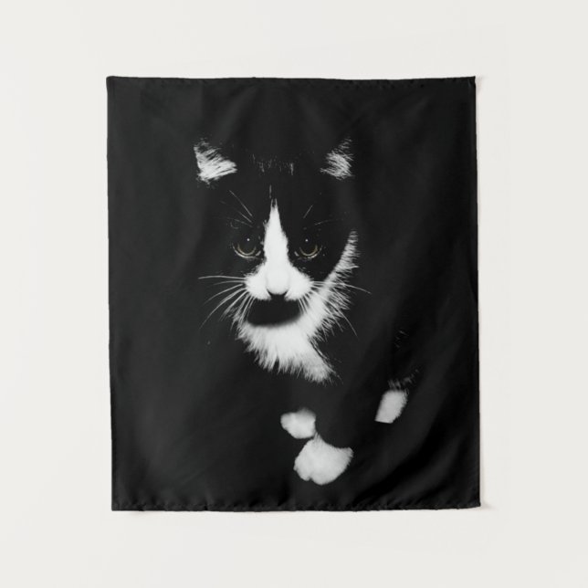 Tapete De Parede Kitten (Frente)