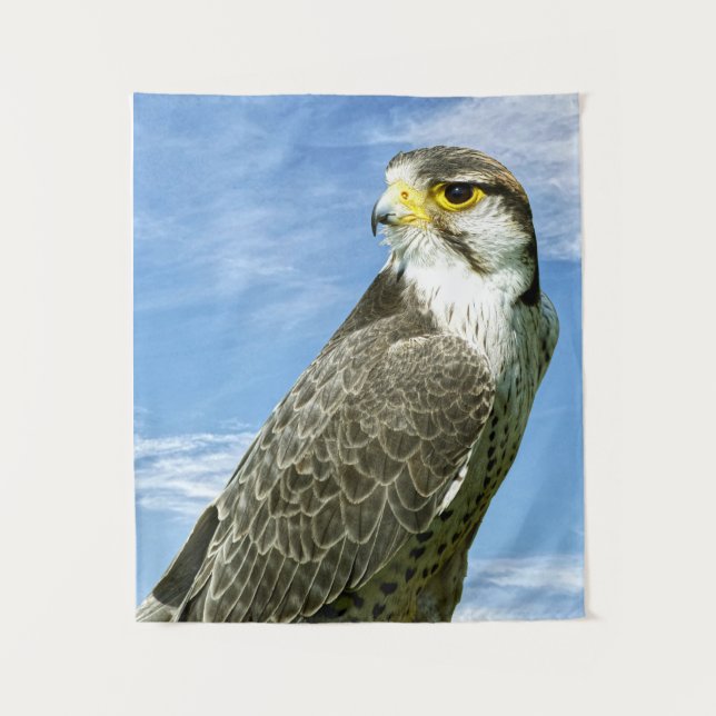 Tapete De Parede Lanner Falcon empacotado (Frente)