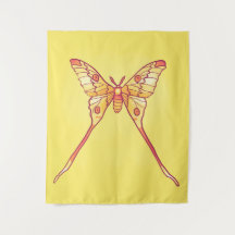 Laranja Luna Moth Art - Inseto Colorido