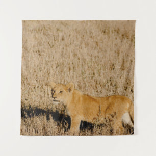 TAPETE DE PAREDE LION CUB ESPERANDO PELA MÃE
