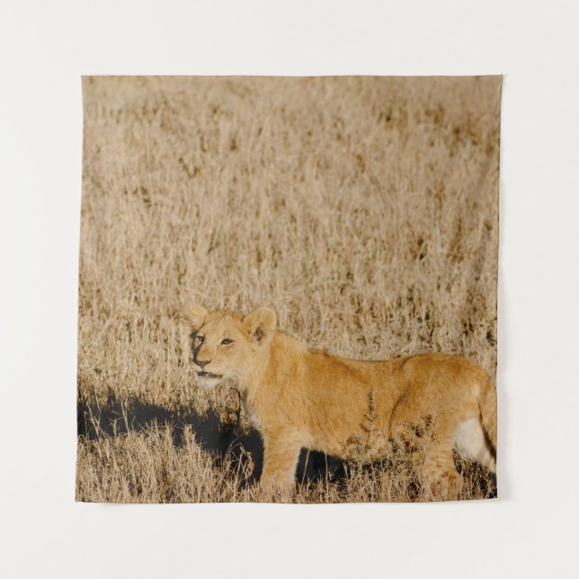 TAPETE DE PAREDE LION CUB ESPERANDO PELA MÃE (Frente)